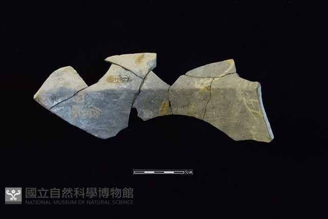 陶罐藏品圖，第2張