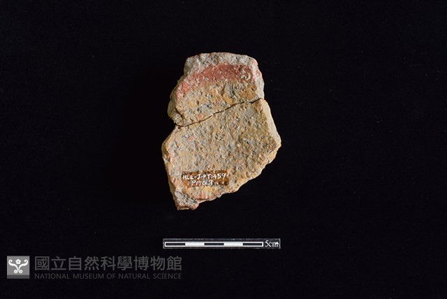 陶蓋鈕藏品圖，第2張