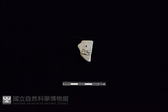 陶片藏品圖，第2張