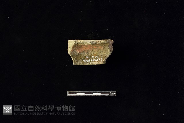 陶片藏品圖，第2張