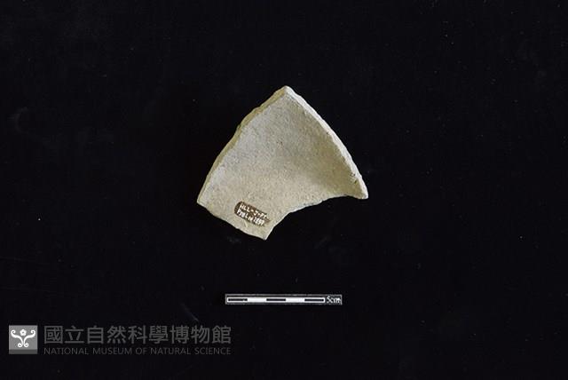 陶片藏品圖，第2張