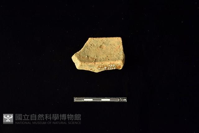 陶罐藏品圖，第2張