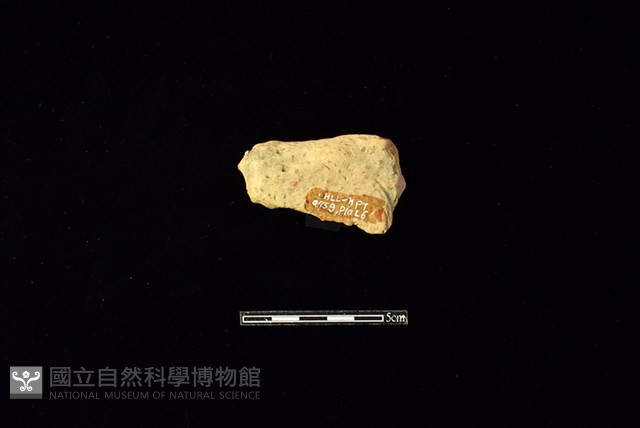 陶片藏品圖，第2張