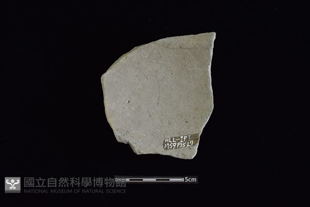 陶片藏品圖，第2張