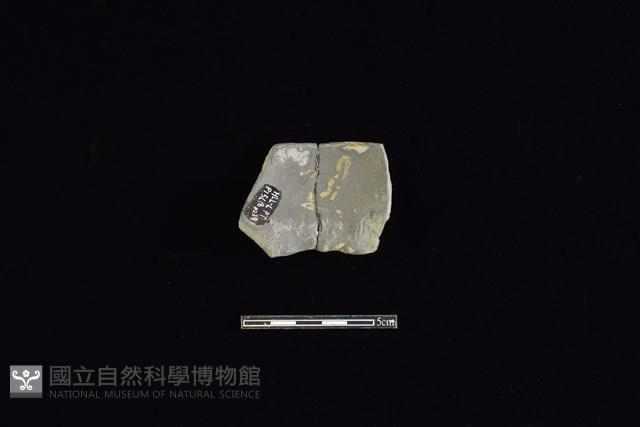 陶片藏品圖，第2張