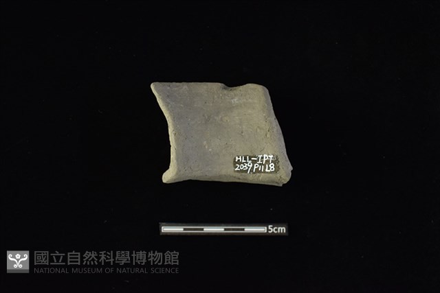 陶罐藏品圖，第1張