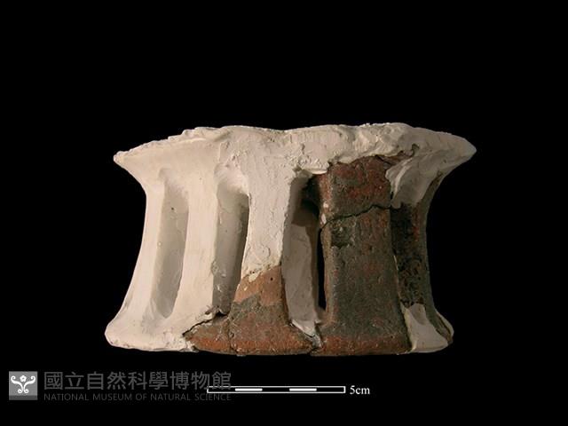 陶片藏品圖，第2張