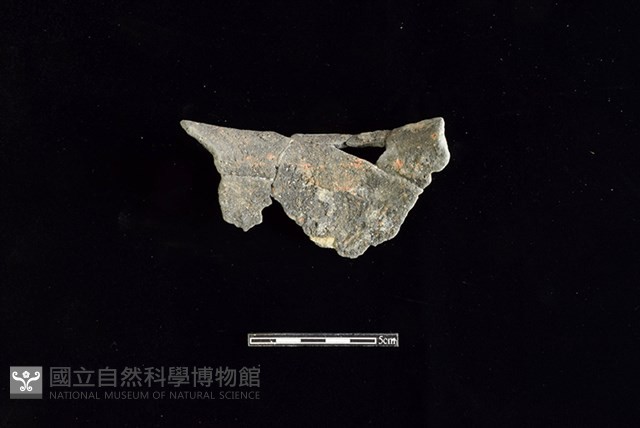 陶罐藏品圖，第2張