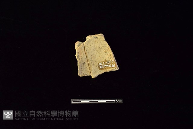 陶片藏品圖，第2張