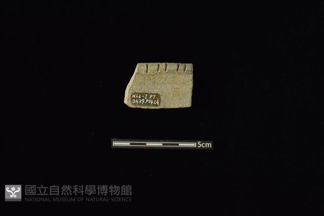 陶片藏品圖，第2張