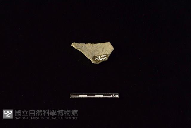 陶片藏品圖，第2張