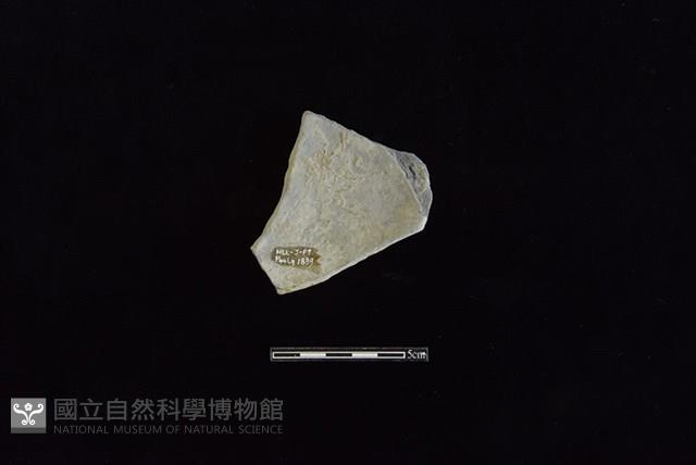 陶片藏品圖，第2張