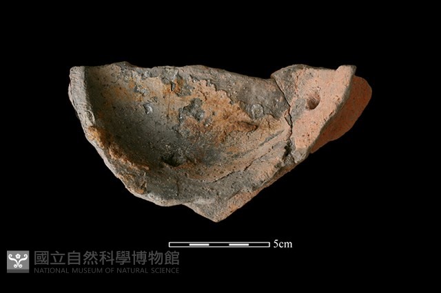 陶片藏品圖，第2張