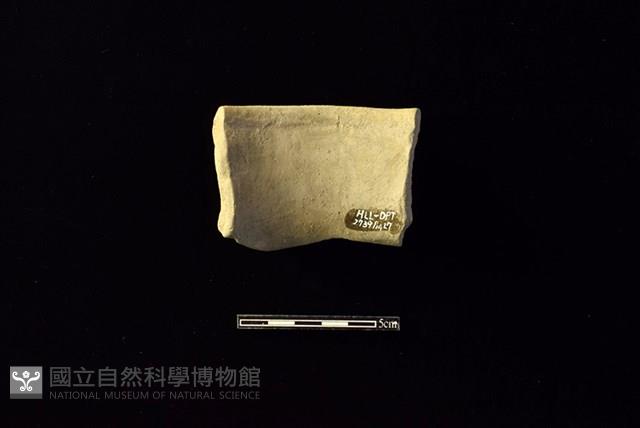 陶罐藏品圖，第2張