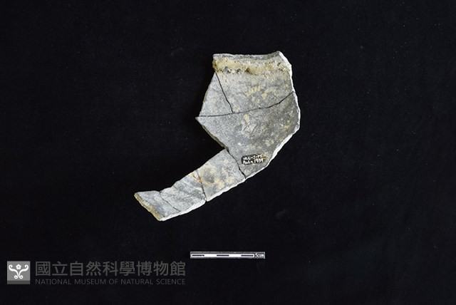 陶片藏品圖，第2張