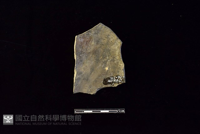 陶片藏品圖，第2張