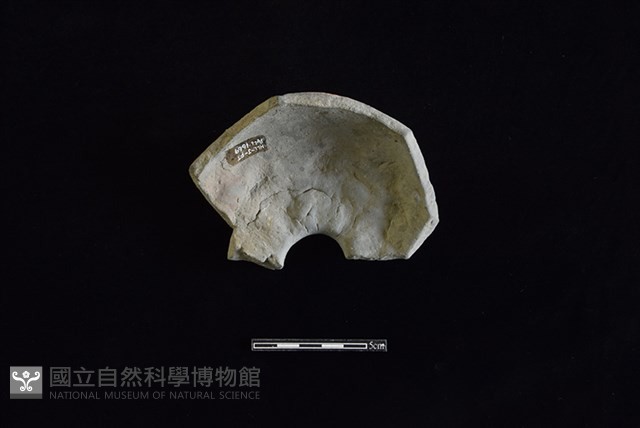 陶瓶藏品圖，第2張