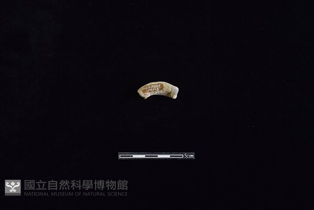 陶把藏品圖，第2張