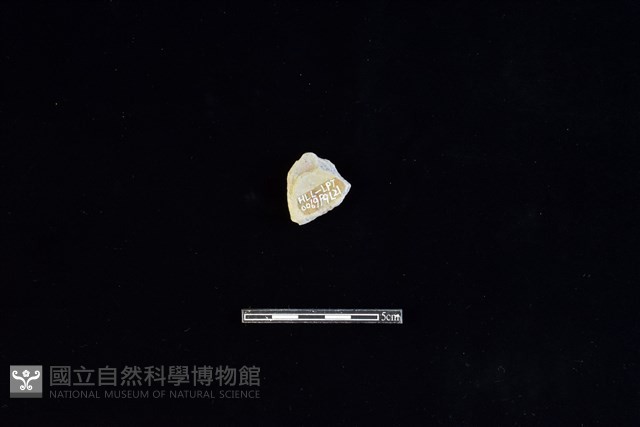 陶片藏品圖，第2張