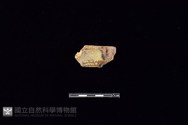 陶片藏品圖，第2張