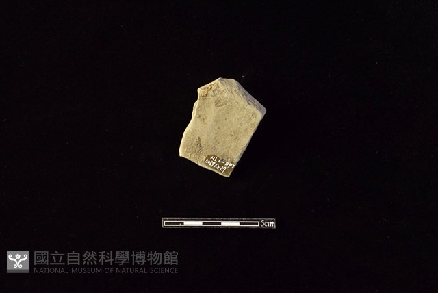 陶片藏品圖，第2張