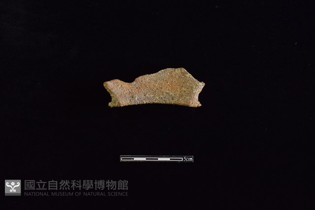 陶罐藏品圖，第2張