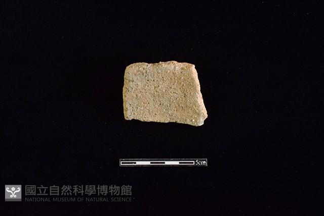 陶片藏品圖，第2張