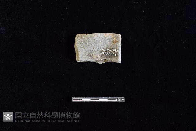 陶罐藏品圖，第2張