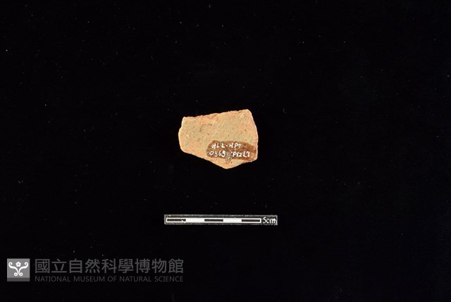 陶片藏品圖，第2張