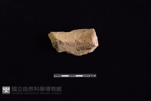 陶罐藏品圖，第2張