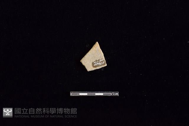 陶片藏品圖，第2張