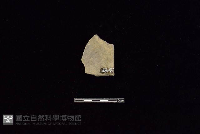 陶片藏品圖，第2張