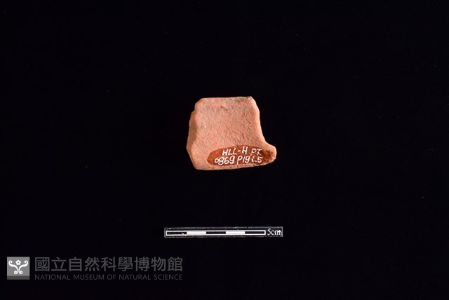 陶片藏品圖，第2張
