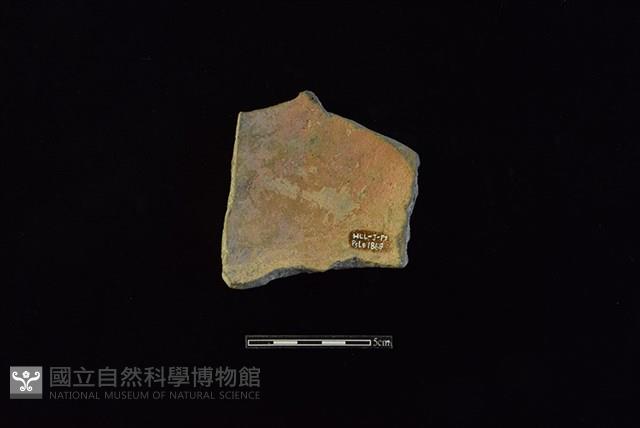 陶片藏品圖，第2張