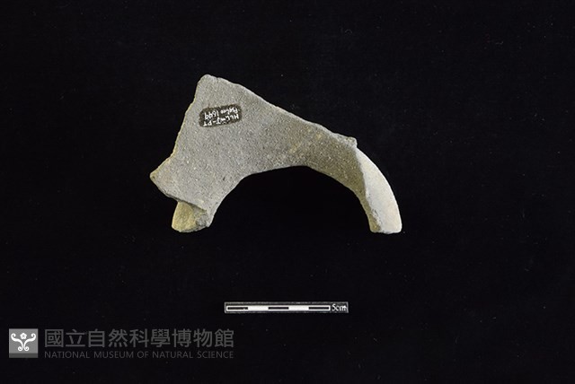 陶罐藏品圖，第2張