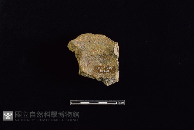 陶片藏品圖，第2張