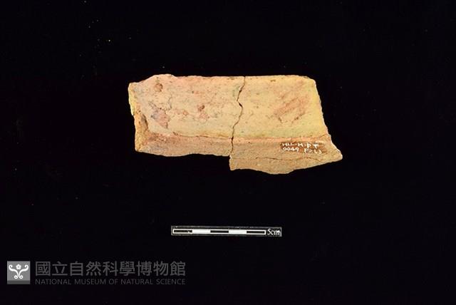 陶罐藏品圖，第2張