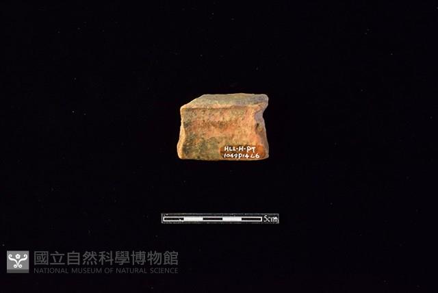 陶片藏品圖，第2張