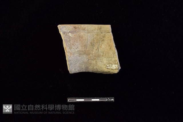 陶罐藏品圖，第2張