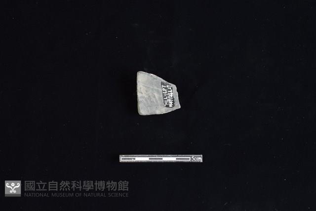 Accession Number:HLL-L-PT0149 Collection Image, Figure 2, Total 2 Figures