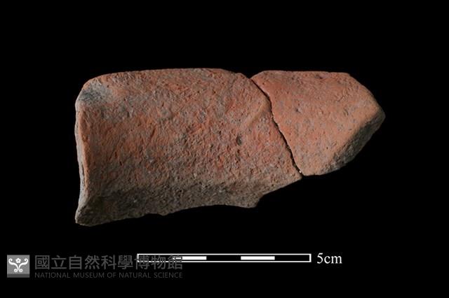 陶罐藏品圖，第2張