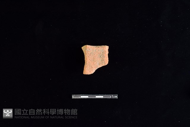 陶片藏品圖，第2張