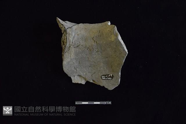 陶罐藏品圖，第2張