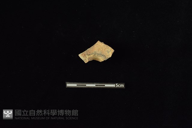 陶甑藏品圖，第2張