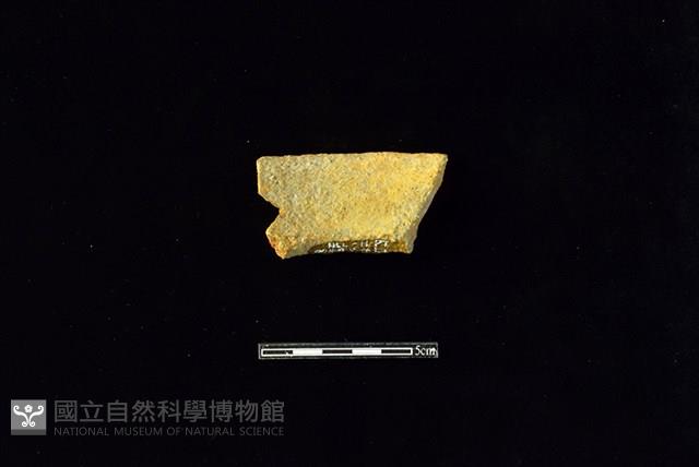 陶罐藏品圖，第2張