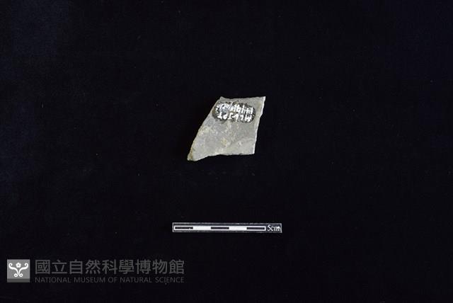 Accession Number:HLL-J PT1449 Collection Image, Figure 2, Total 2 Figures