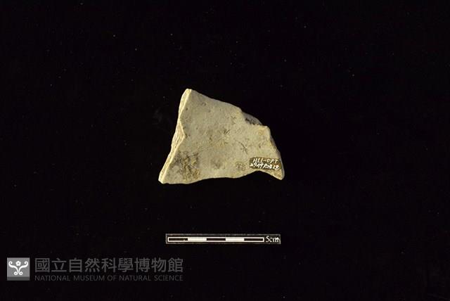 陶罐藏品圖，第2張