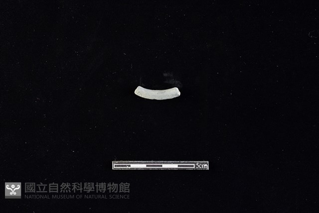 陶環藏品圖，第2張