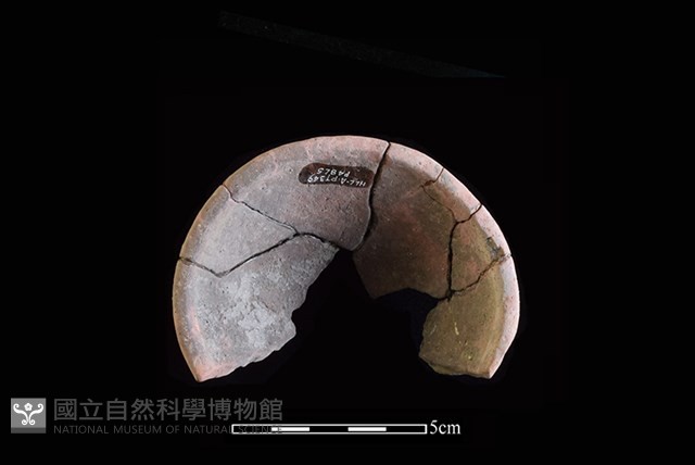 陶片藏品圖，第2張