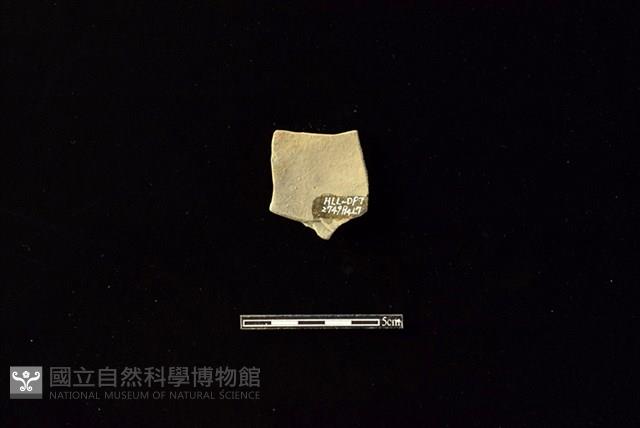 陶片藏品圖，第2張